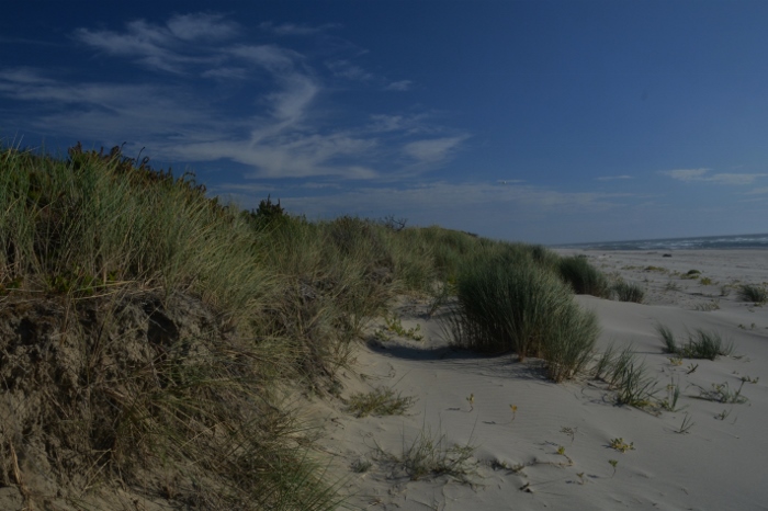 Rockaway Beach
